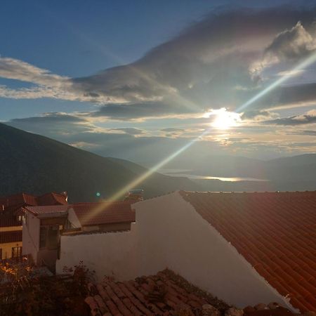 Tholos Hotel Делфи Екстериор снимка